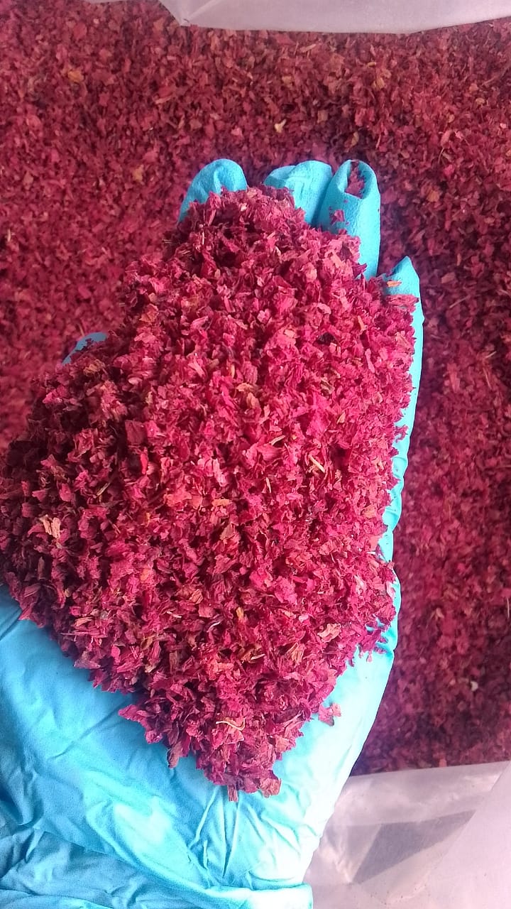 Buransh / Himalayan Rhododendron