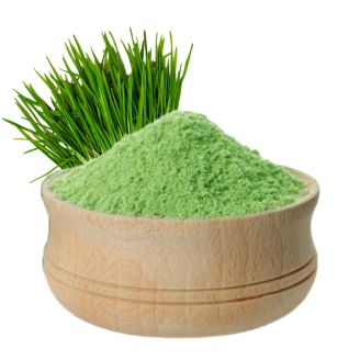 Wheatgrass