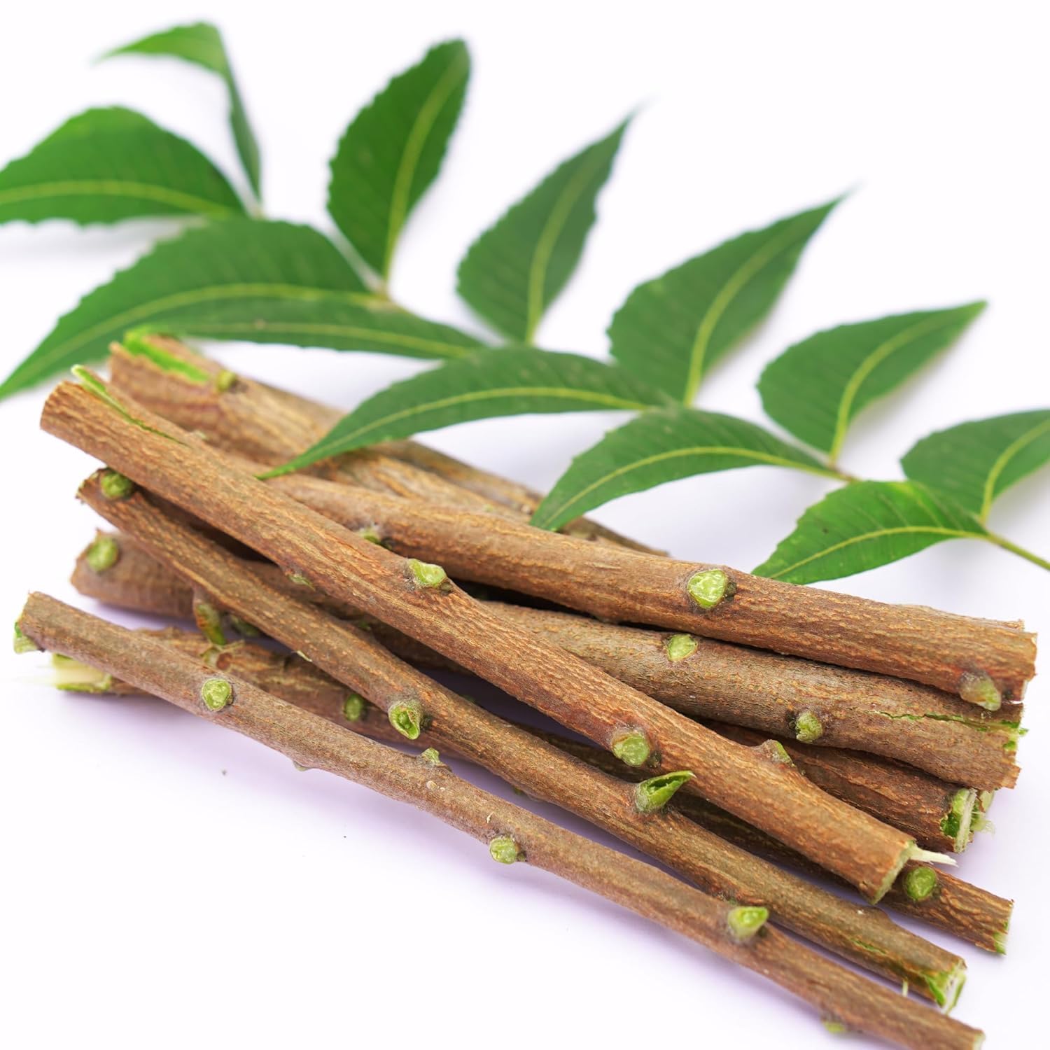 Neem Stick