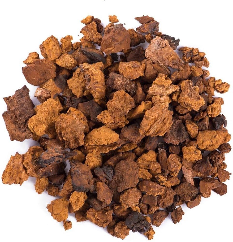Chaga