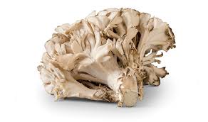 Maitake