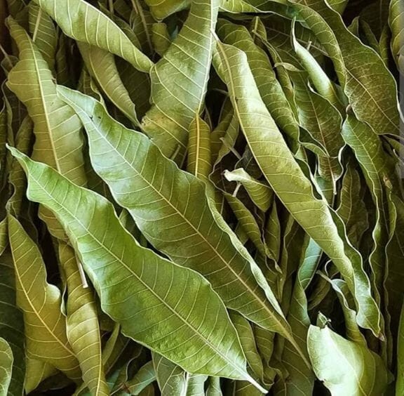 Dried Mango