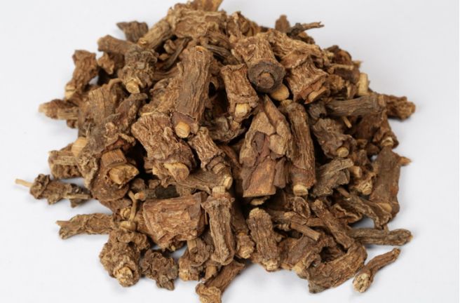 Indian Sarsaparilla