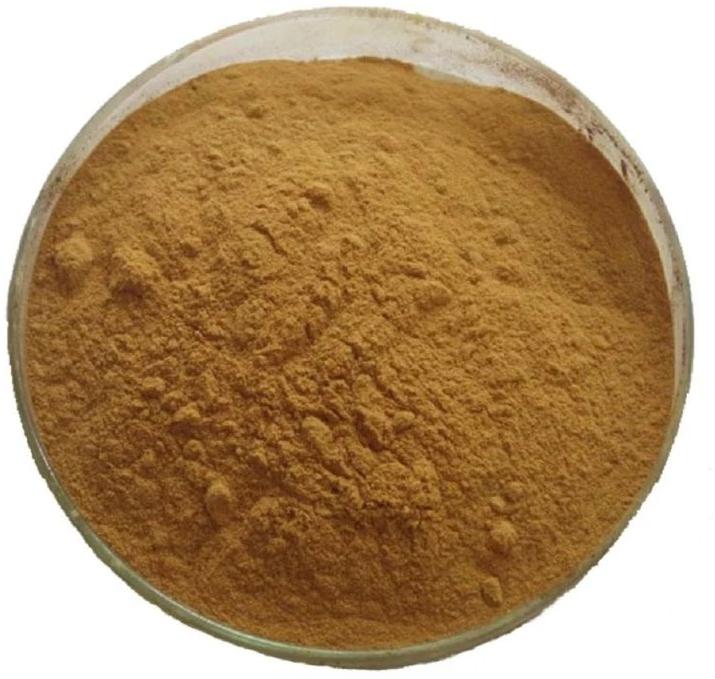 Coleus Herbal